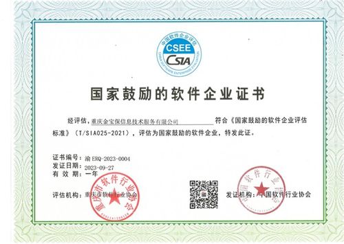 重慶三峽擔保集團子公司金寶保榮獲國家鼓勵的軟件企業稱號，彰顯重慶軟件開發實力
