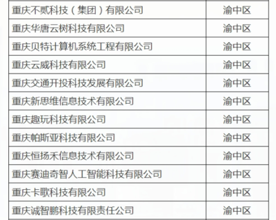 渝中12家企業入選重慶首批“滿天星”示范企業，引領軟件開發新高度